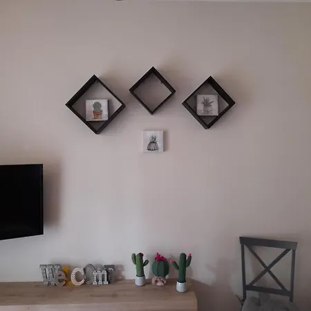 Le Panchette _ Pool & Bike Διαμέρισμα Salionze