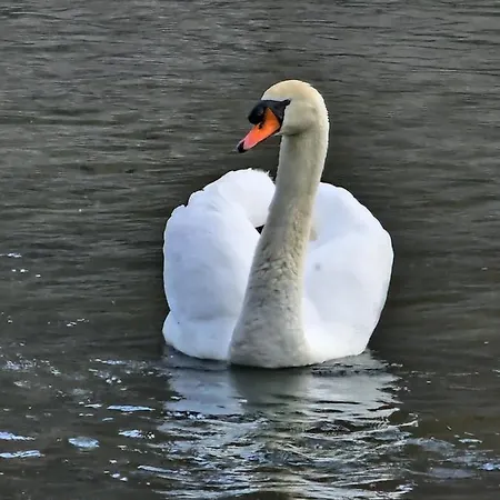 Le Panchette _ Pool & Bike *