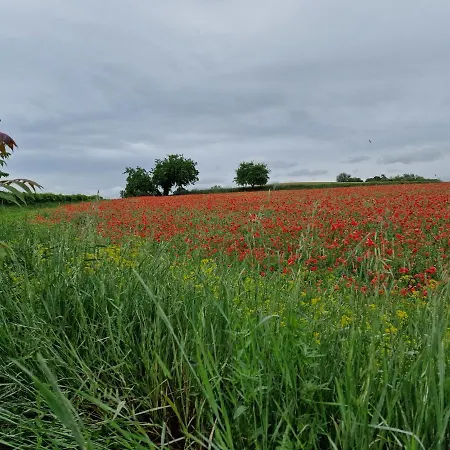 Διαμέρισμα Le Panchette _ Pool & Bike *