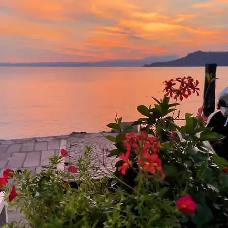 Le Panchette _ Pool & Bike * Salionze