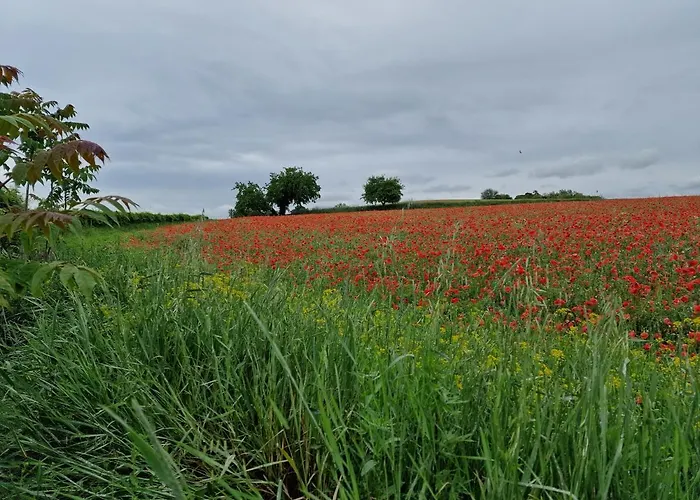 Apartament Le Panchette _ Pool & Bike *